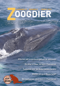 Omslag tijdschrift Zoogdier herfst 2012 (afbeelding: Zoogdiervereniging)
