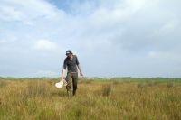 Insectenbemonstering op een groene strandvlakte (foto: Bart Wouters, Stichting bargerveen)