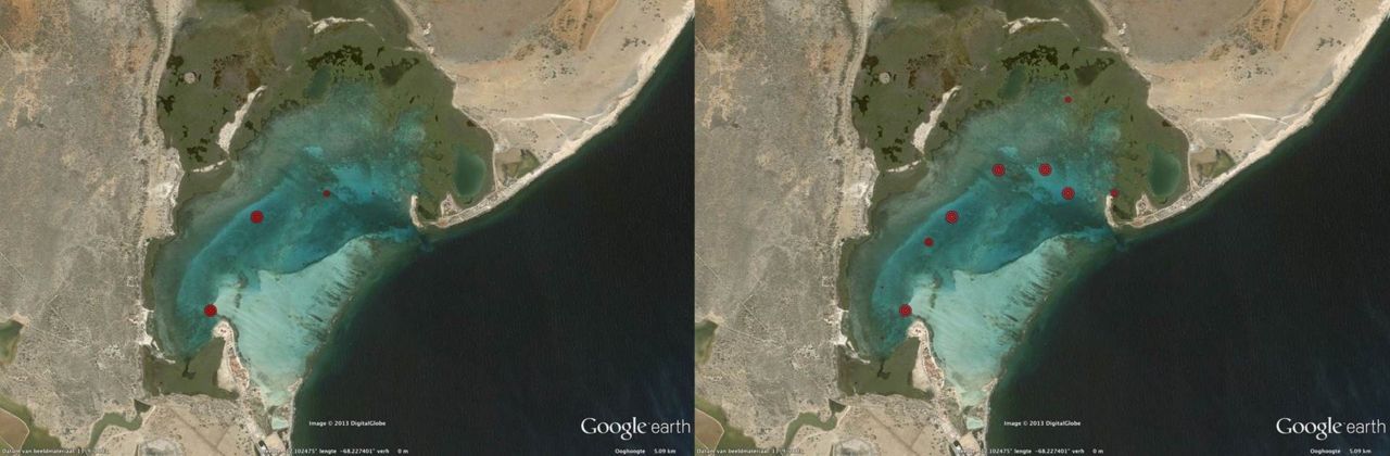 Expansion of invasive seagrass Halophila stipulacea from 2011 (left) to 2013 (right). Relative size of red dots represents abundance. (figure:  Google Earth Pro - DigitalGlobe)