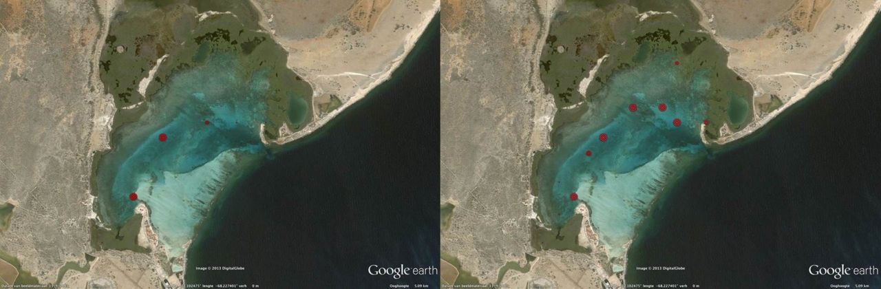 Expansion of invasive seagrass Halophila stipulacea from 2011 (left) to 2013 (right). Relative size of red dots represents abundance. (figure:  Google Earth Pro - DigitalGlobe)