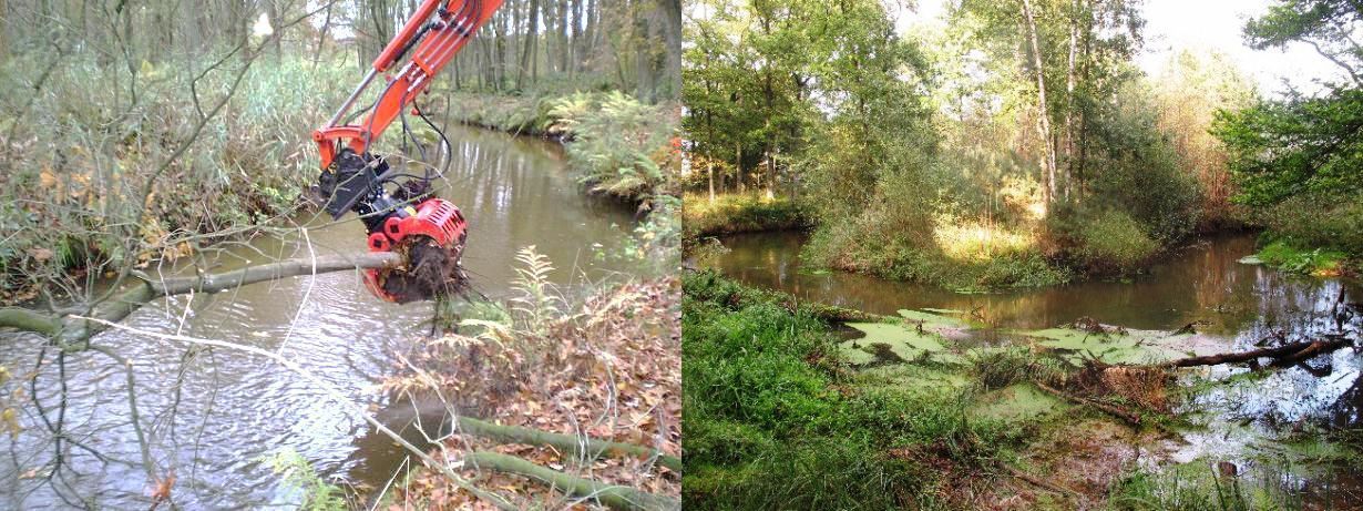 Links het inbrengen van dood hout in de Tongelreep in 2011. Rechts de Tongelreep drie jaar later op 26 September 2014 (foto links: Mark Scheepens; foto rechts: David Tempelman)