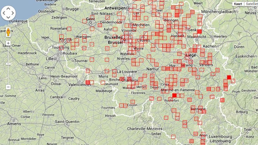 Alleen West-Vlaanderen viel ietwat buiten de kraanvogelprijzen. (foto: Waarnemingen.be)