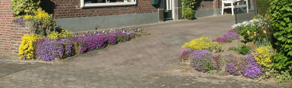 De tuin in Posterholt, met rechtsachter scheefbloem (foto: Marlie Huskens)