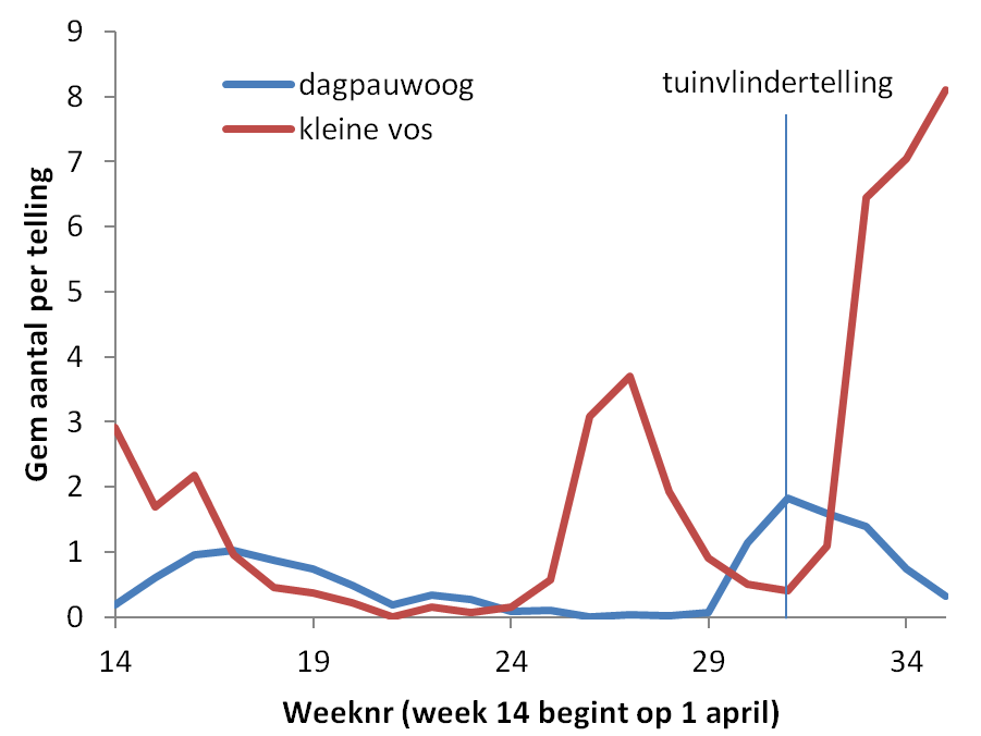 Aantal dagpauwogen en kleine vossen geteld op de routes van het Landelijk Meetnet Vlinders (bron: Landelijk Meetnet Vlinders)