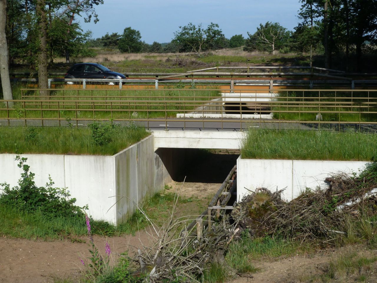 Herpetoduct bij Elspeetsche Heide (foto: Edo van Uchelen & Richard Struik)