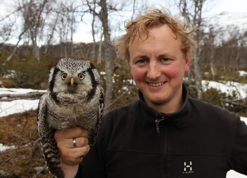 Steenuilen hebben dit jaar grotere legsels. Ze zijn vaker overdag te zien om voldoende prooien te kunnen vangen, daar horen voor deze soort ook insecten en wormen bij. (foto: Dieder Plu)