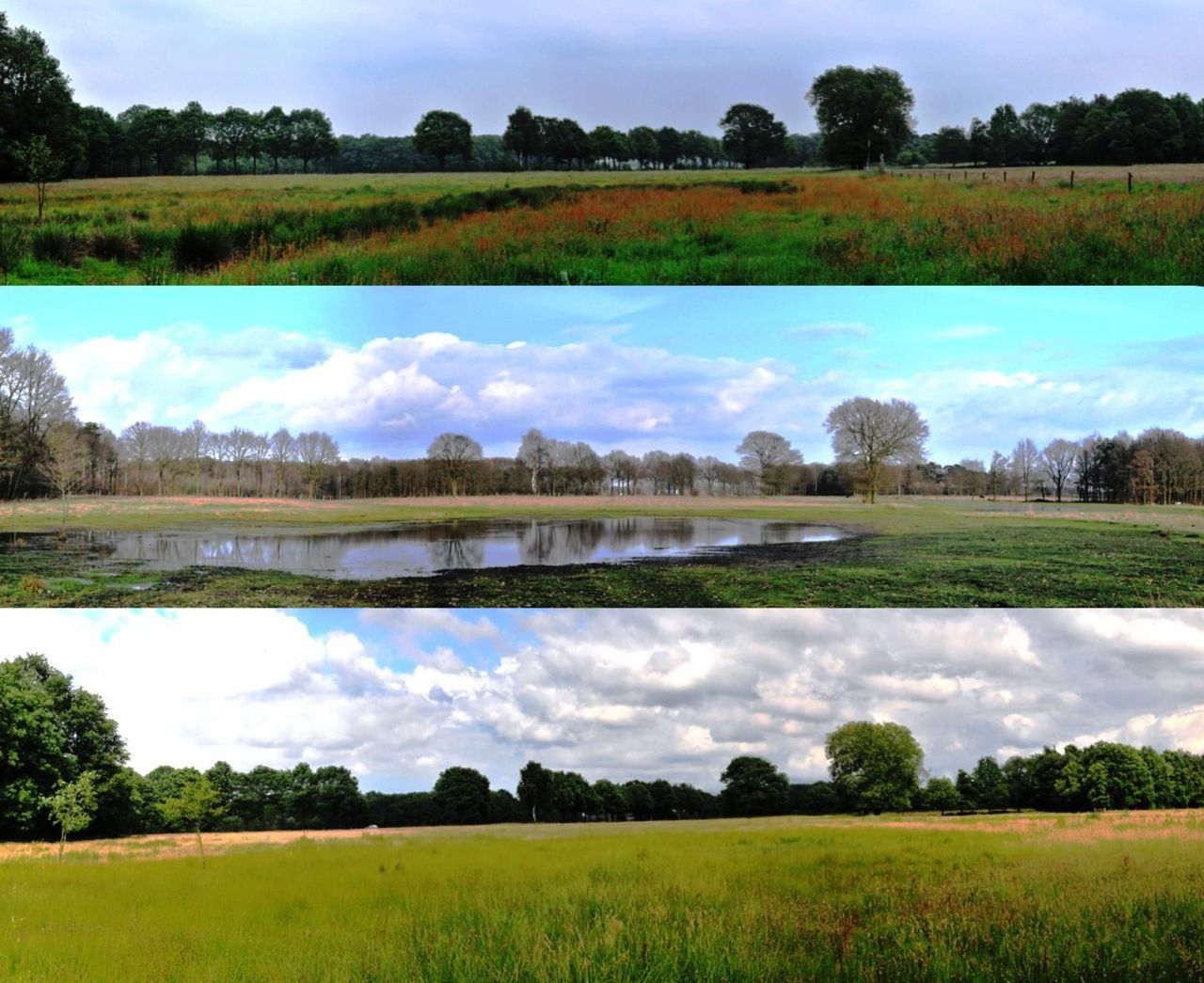 Veranderend Kempen Broek (foto: Denis Frissen)