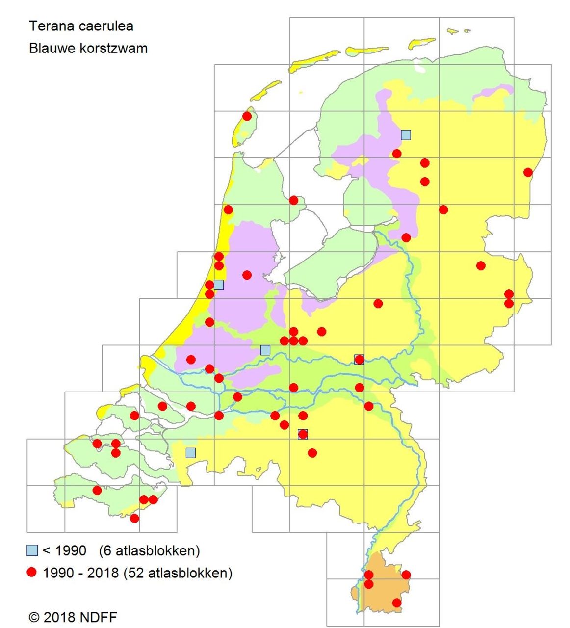 Verspreidingsatlas Grijze vorkplaat (afbeelding: NMV)