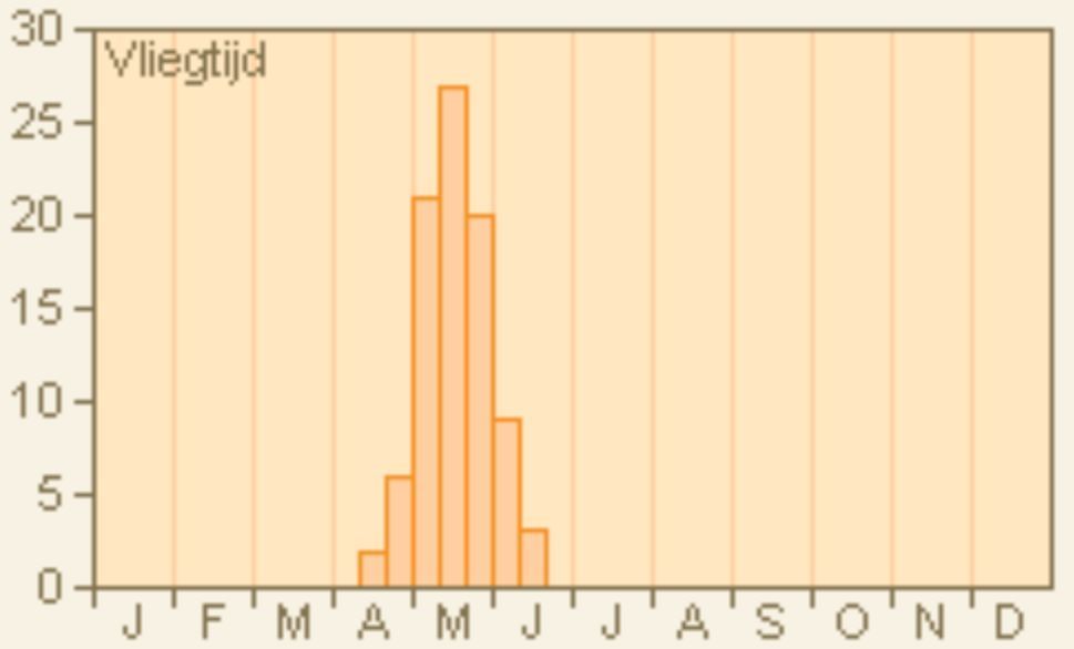 Vliegtijd oranjetipje (www.vlindernet.nl)