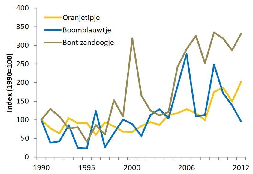 De aantalsindexen voor drie popoverwinteraars vanaf 1992 (bron: Landelijk Meetnet Vlinders)