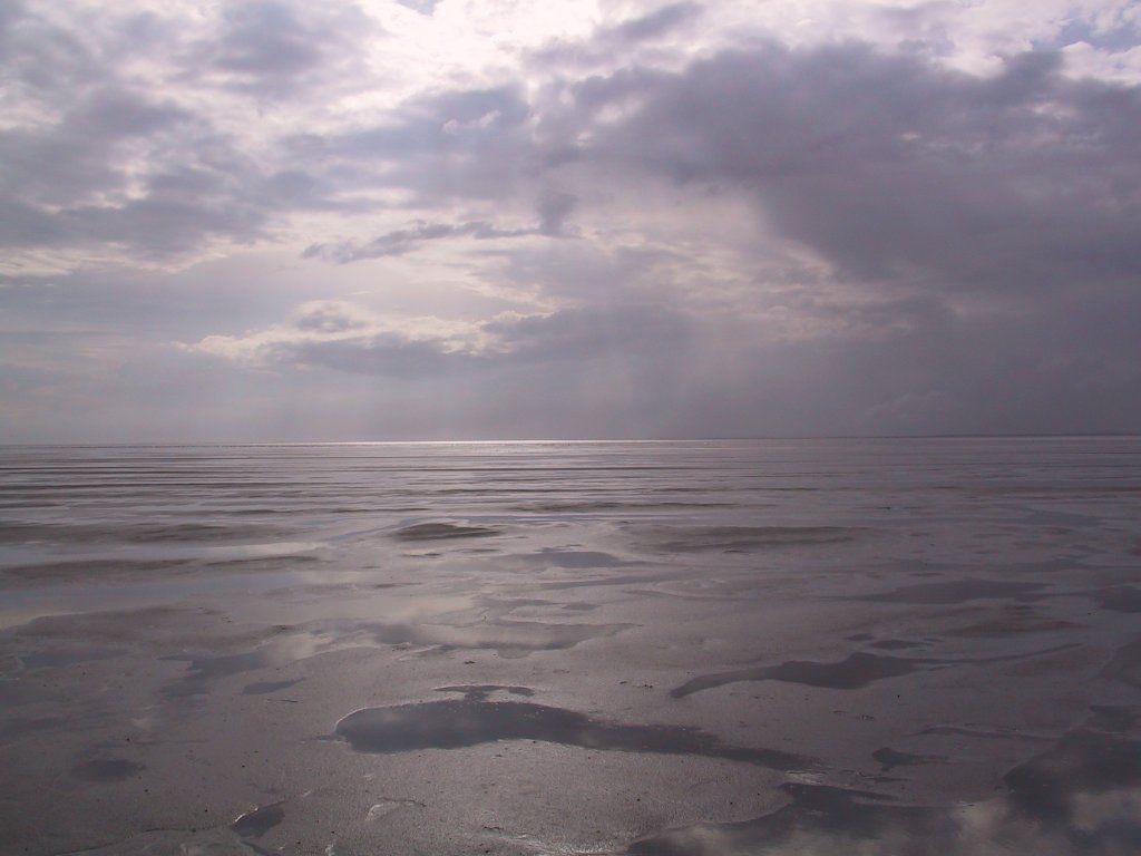 De Waddenzee (foto: Michielvd)