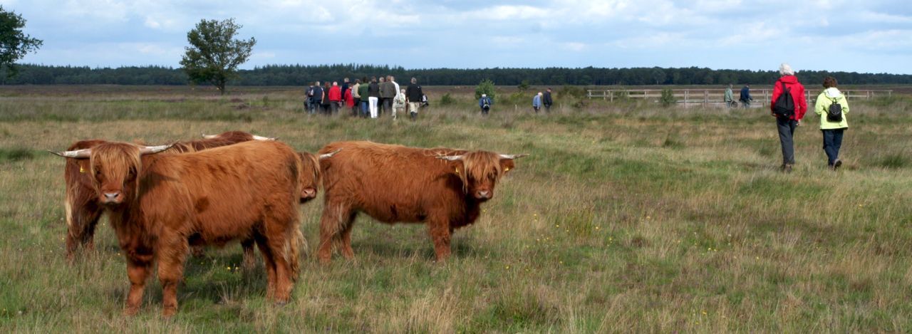 Op pad tussen de Schotse hooglanders (foto: Kars Veling)