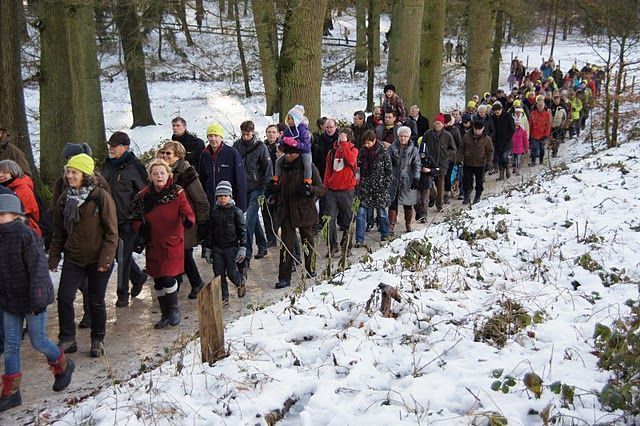 Wandelen met schapen en muziek, Veluwezoom Natuurmonumenten (foto: Chris van Swaay)