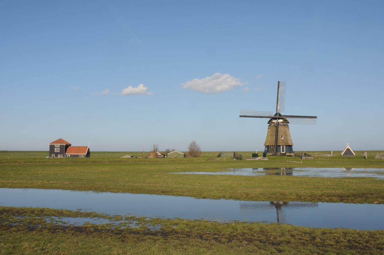 Plasdras bij weidevogelboer Jan Vrolijk in Oosthuizen (foto: Vogelbescherming)