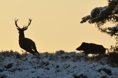 Foto: Edwin Kats