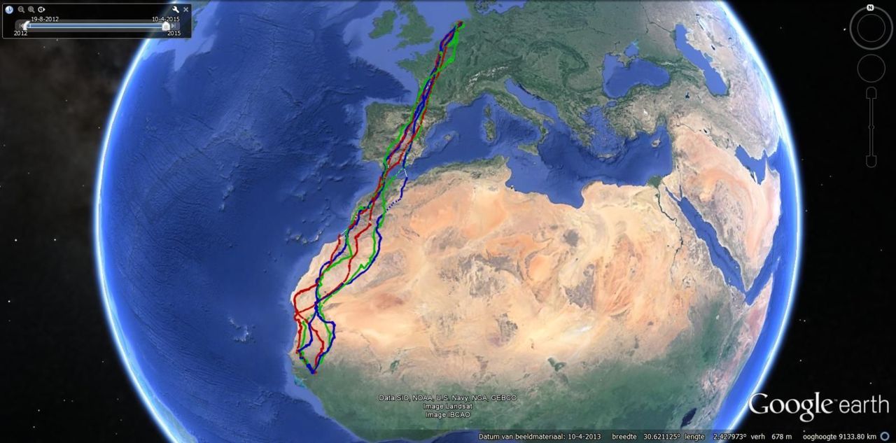 Drie jaar tracks van Bruine Kiekendief ’William’. Groen: 2012,2013. Rood: 2013,2014. Blauw: 2014,2015 (kaart: Werkgroep Grauwe Kiekendief)