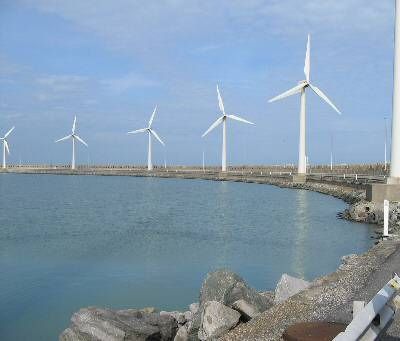 De vraag blijft of zeehonden naar windmolenparken komen om te eten, of dat die parken gewoon op hun weg liggen (Foto: Tim Bekaert)