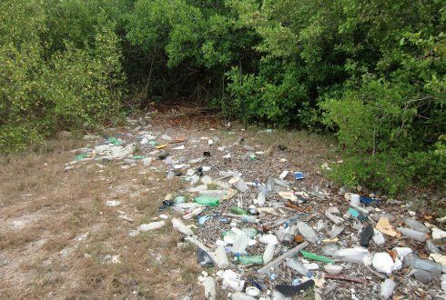 Zwerfvuil in het mangrovebos van Lac Bay (foto: Dolfi Debrot)